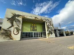 Attēlu rezultāti vaicājumam “Reptilia”