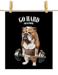 Image result for Bulldogs Power and strength