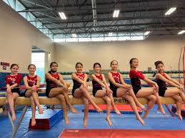 Image result for Holbeach and Fenland Gymnastics Club