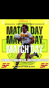 Image result for Ballyhegan Davitts Gaa Club