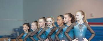 Image result for Mk Springers Gymnastics Club