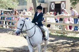 Image result for The Riding Centre