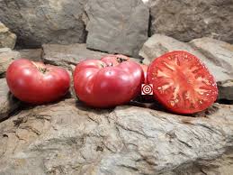 Afbeeldingsresultaat voor hawaiian white cherry tomato