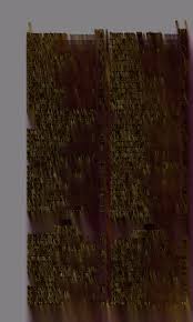 Attēlu rezultāti vaicājumam “Retinia resinella exuvia”