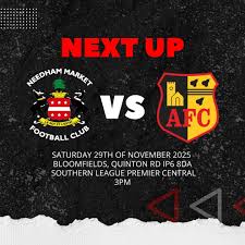 Image result for Needham Market Football Club