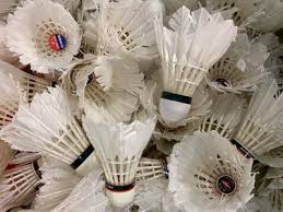 Image result for Runnymede Junior Badminton Club