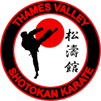 Image result for Burnham Karate Club