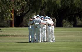 Image result for Wincanton Cricket Club