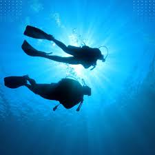 Image result for Maverick Divers