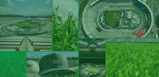 Image result for Astroturf