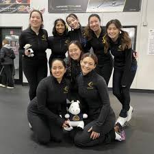 Image result for Rugby Ladies Badminton Club