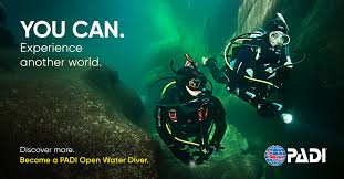 Image result for Robin Hood Dive School