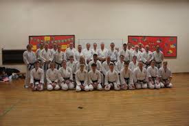 Image result for Inyo Karate Do Ninbukan