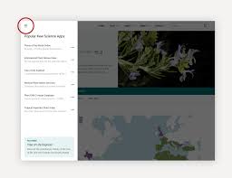 Attēlu rezultāti vaicājumam “Lonicera caerulea var. pallasii”