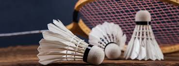 Image result for St Marks Badminton Club