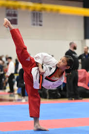 Image result for Martial Art Centre of Excellence