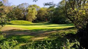 Image result for Central London Golf Club