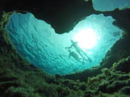 Image result for TAL Divers