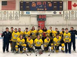 Image result for Vipers Roller Hockey Team