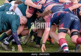 Image result for Widden Old Boys Rfc