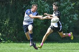 Image result for Stevenage Sharks Rhc