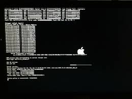 Image result for kernel panic snow leopard