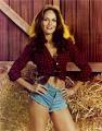 File:Daisy Dukes.jpg - Wikipedia, the free encyclopedia