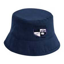 Image result for Chulmleigh & Mid Devon Cricket Club