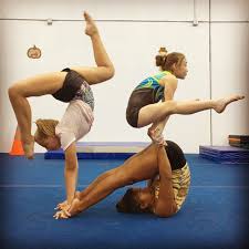 Image result for Harriers Acrobatic Gym Club