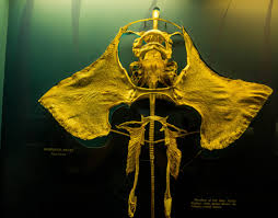 Image result for Dipturus laevis