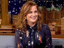 Image result for Bugaboo Cameleon Amy Poehler