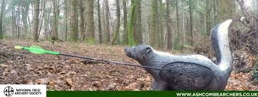 Image result for Ashcombe Valley Archers