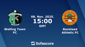 Image result for Banstead Athletic Fc