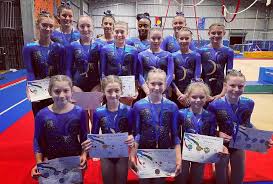 Image result for Tamworth Olympic Gymnastics Club