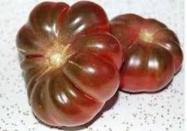 Afbeeldingsresultaat voor purple calabash tomato