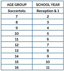 Image result for Chilcompton Netball Club