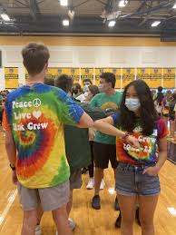 Image result for Link Leisure