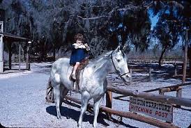 Image result for horse girl gun