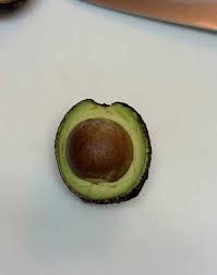 「アボカド大臣」の画像検索結果