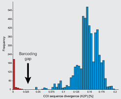 Attēlu rezultāti vaicājumam “Bembidion litorale”