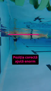 Image result for Swansea Finswimming Club