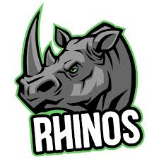 Image result for Rhinos Volleyball Club