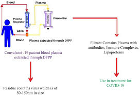 Image result for Autopheresis C