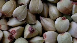 Attēlu rezultāti vaicājumam “Fagopyrum esculentum fruit”