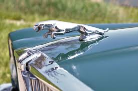 Image result for Moorland Green 1987 Jaguar