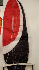 Image result for Baiter Power Kite