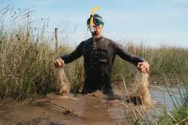 Image result for Bog Snorkelling Championships