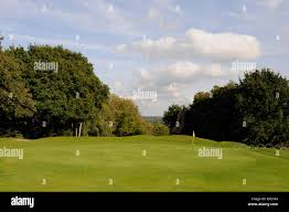 Image result for Betchworth Park Golf Club