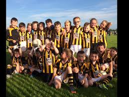 Image result for Culloville Gfc