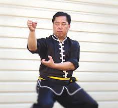 Image result for Chat Ying Kuen Kung Fu Club
